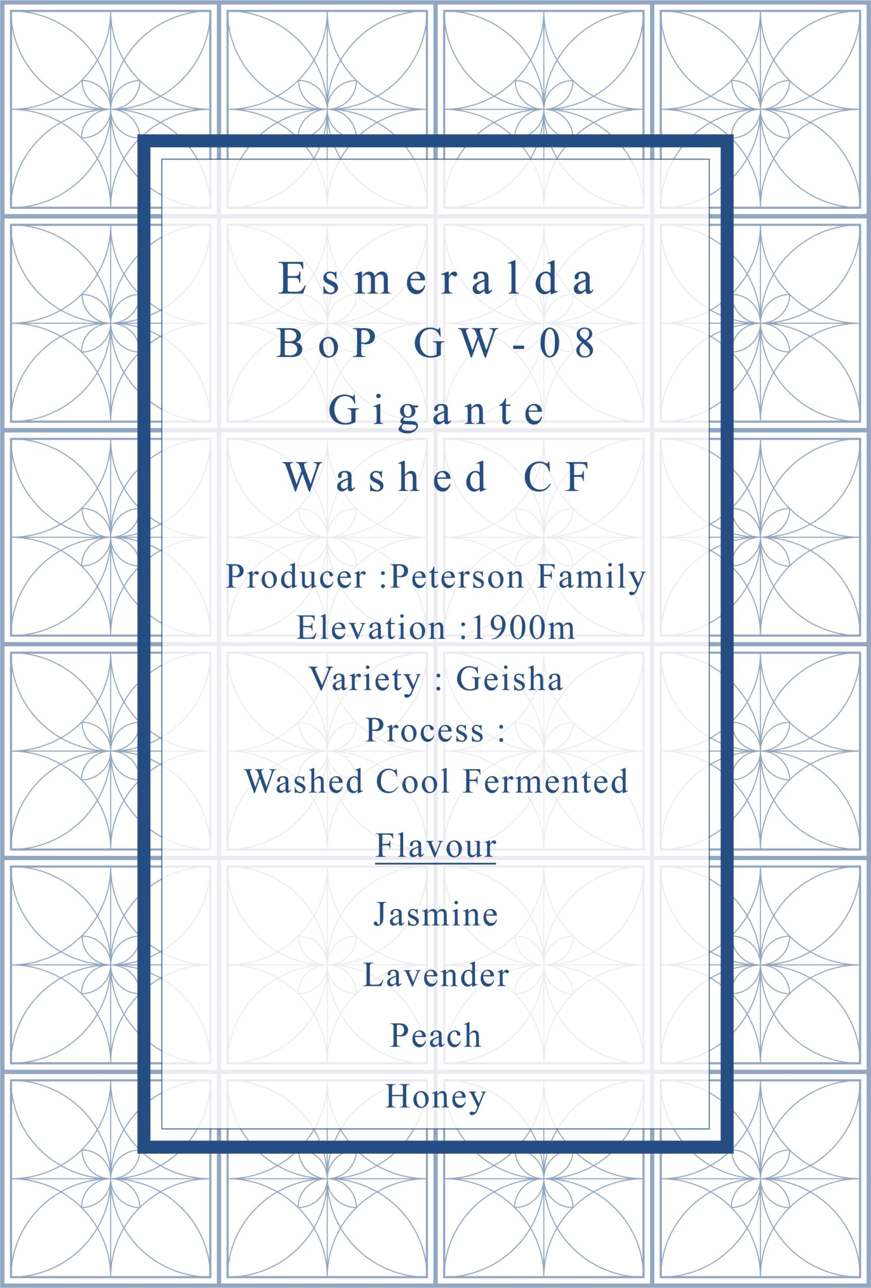 Definitive.:パナマ エスメラルダ カーニャ・ベルデス ブエルタ・デル・ヒガンテ ベスト・オブ・パナマ 2024年 ゲイシャ ウォッシュト部門 第8位