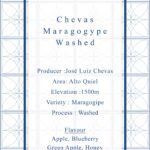 Definitive.：パナマ チェバス マラゴジッペ ウォッシュト