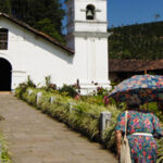 コスタリカのコーヒー生産地域とその特徴：オロシ