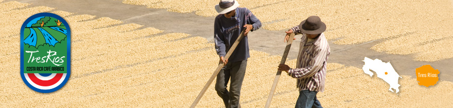 コスタリカのコーヒー生産地域とその特徴：トレス・リオス