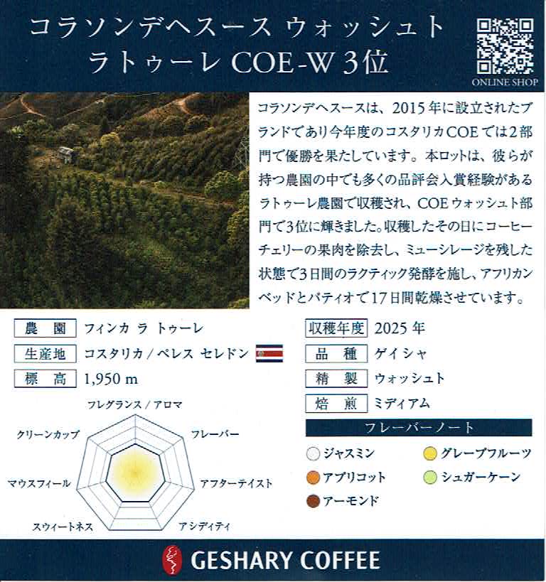 ゲシャリーコーヒー:コスタリカ コラソン・デ・ヘスース ゲイシャ ウォッシュト ラ・トゥーレ コスタリカ カップ・オブ・エクセレンス 2024年 第3位