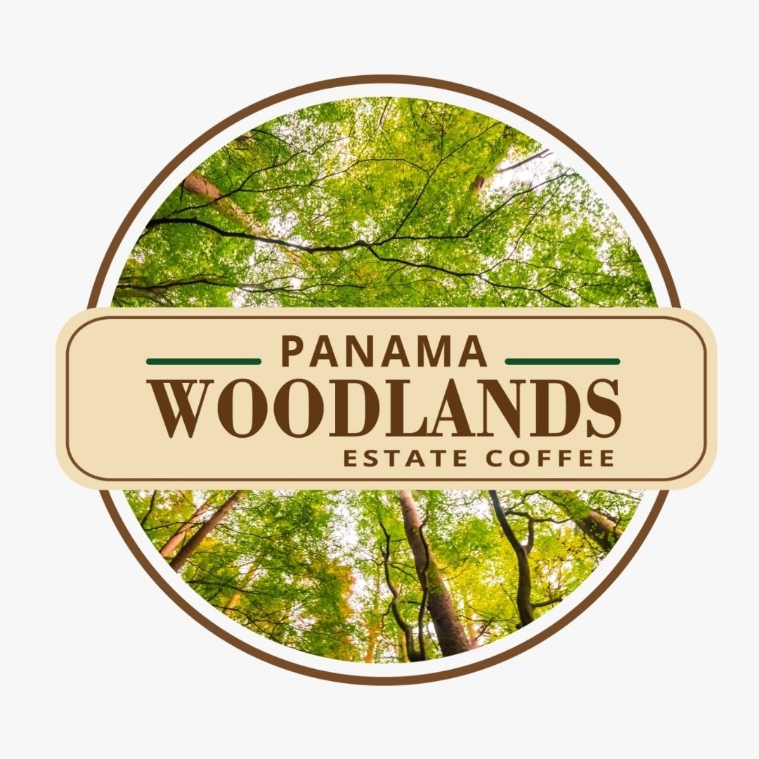パナマ ウッドランド・エステート・コーヒー