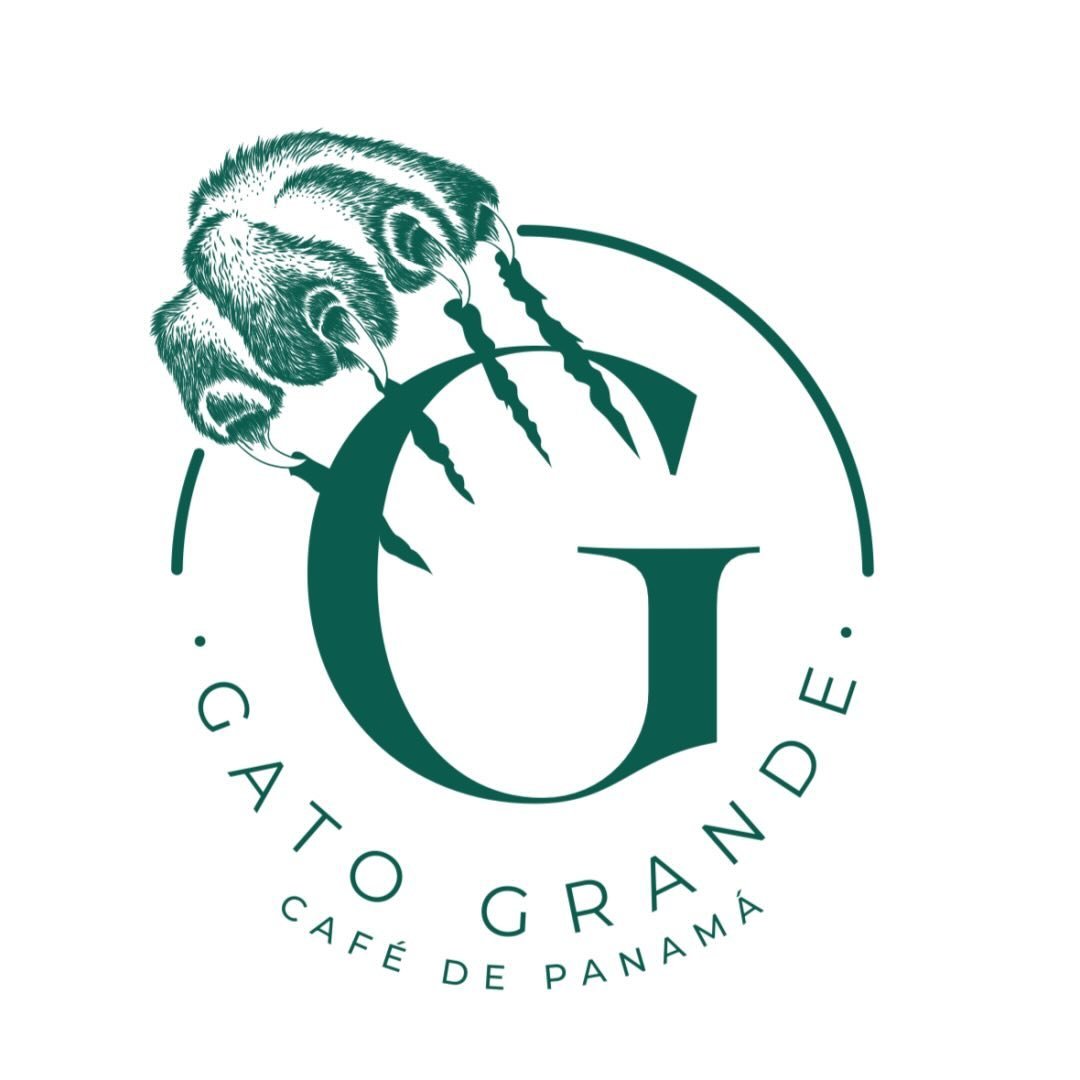 パナマ ガト・グランデ・コーヒー・フォレスト