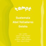 tempt：グアテマラ アベル・バジャデレス ゲイシャ ウォッシュト