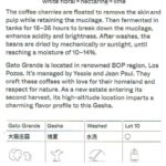 Terraform Coffee Roasters：パナマ ガト・グランデ ゲイシャ ウォッシュト