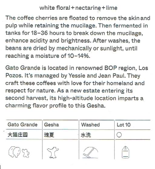 Terraform Coffee Roasters:パナマ ガト・グランデ ゲイシャ ウォッシュト