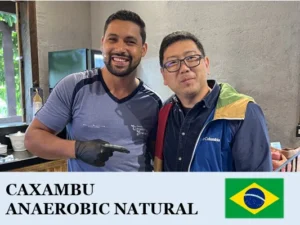 丸美珈琲店：ブラジル カッシャンブー農園 アララ アネロビック・ナチュラル