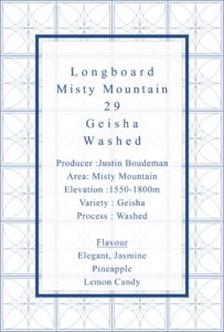 Definitive.：パナマ ロングボード ミスティ・マウンテン ゲイシャ ウォッシュト 29