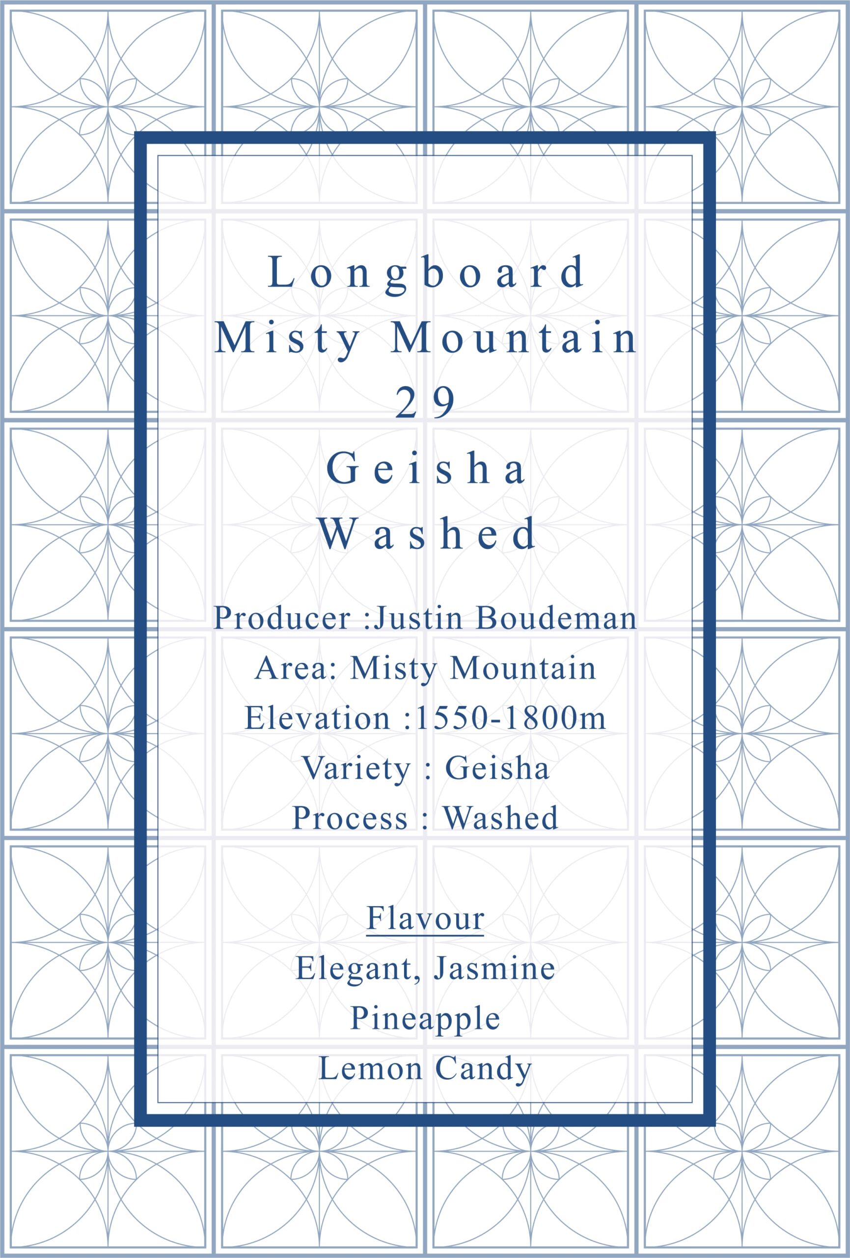 Definitive.：パナマ ロングボード ミスティ・マウンテン ゲイシャ ウォッシュト 29