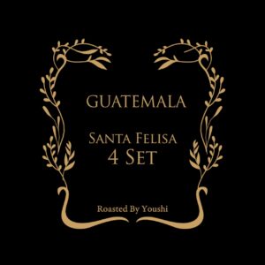 Youshi Coffee:グアテマラ サンタ・フェリーサ シドラ ワイルド・イースト・ナチュラル