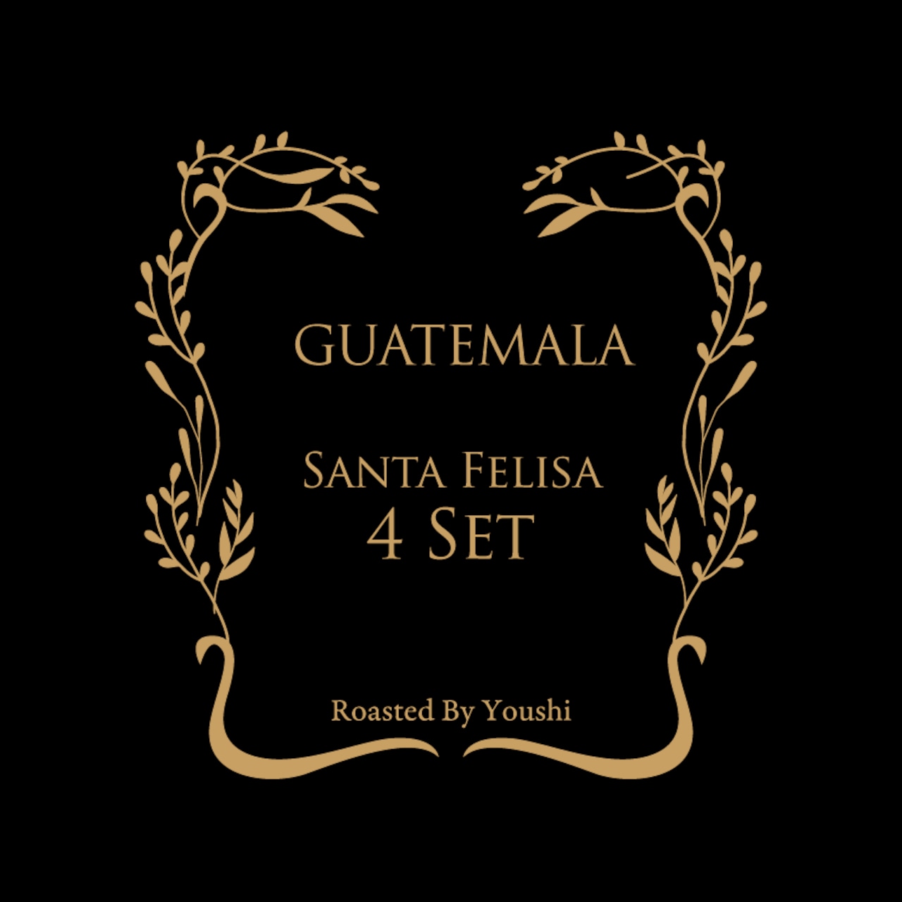 Youshi Coffee:グアテマラ サンタ・フェリーサ ドワーフ・ゲイシャ レッド・ハニー