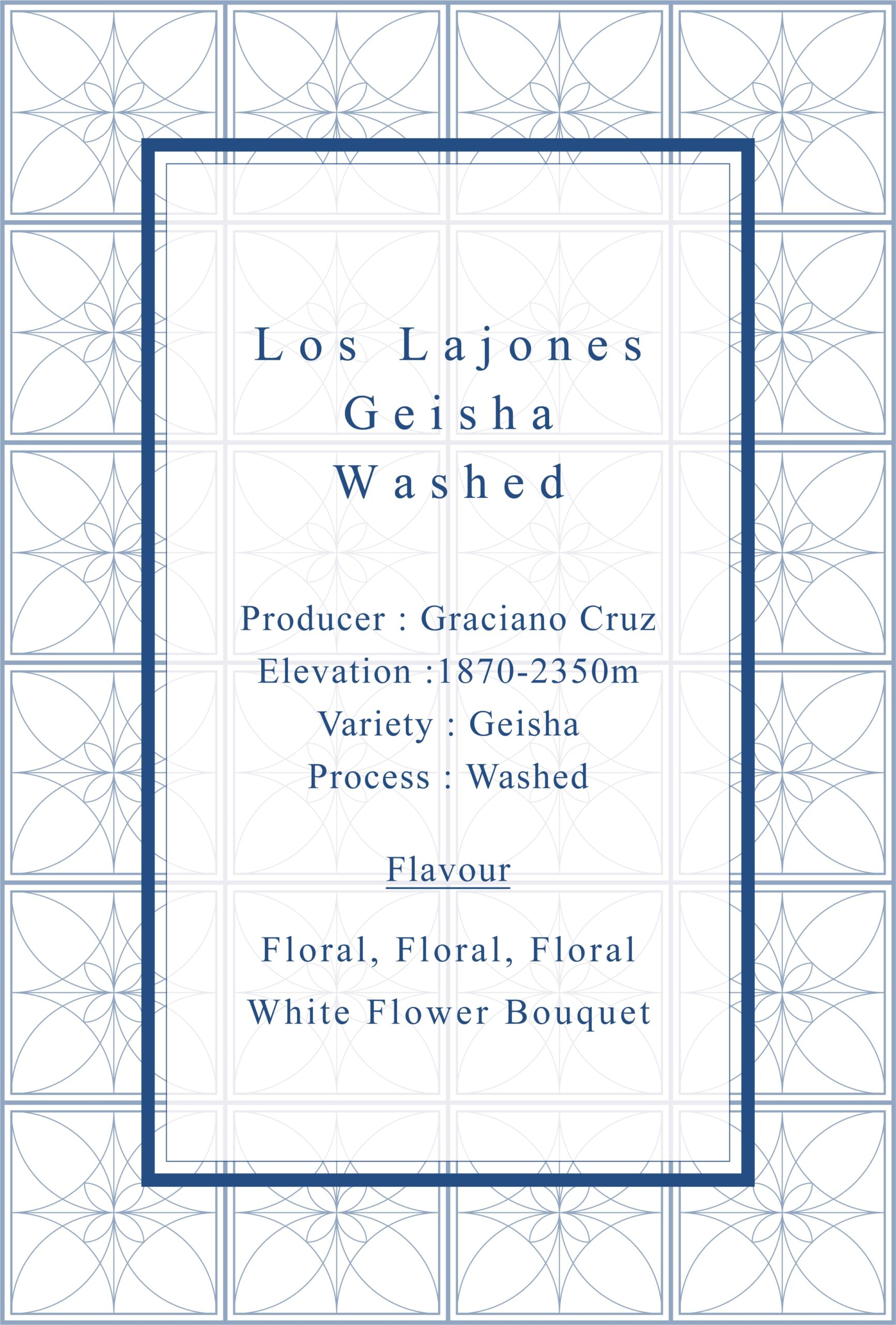 Definitive.：パナマ ロス・ラホネス ゲイシャ ウォッシュト