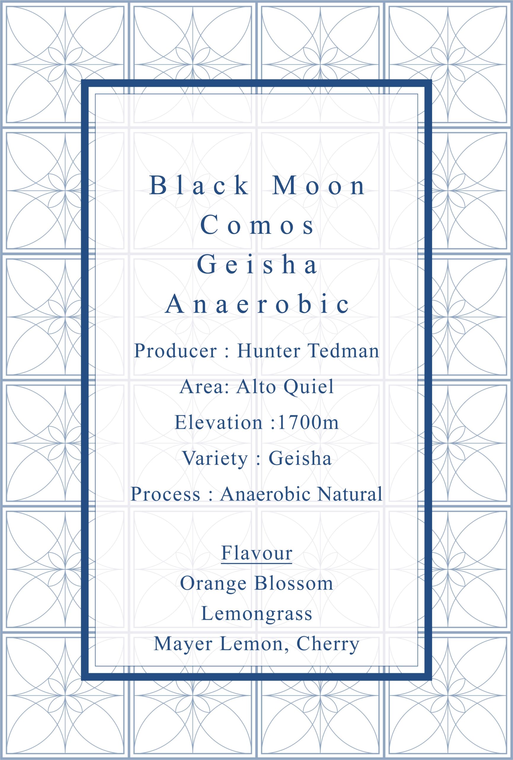 Definitive.：パナマ ブラック・ムーン コモス ゲイシャ アネロビック・ナチュラル