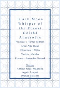 Definitive.：パナマ ブラック・ムーン ウィスパ・オブ・ザ・フォレスト ゲイシャ アネロビック・ナチュラル