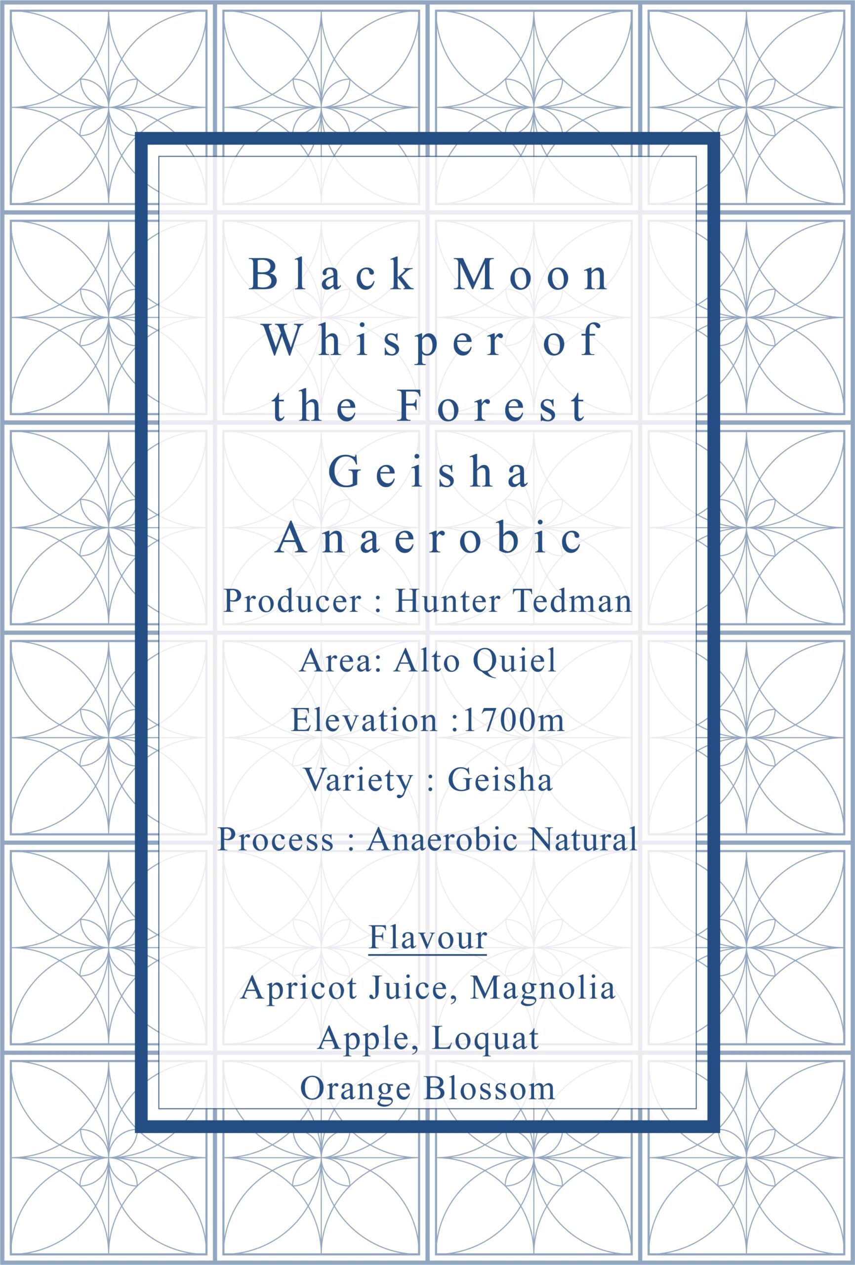 Definitive.：パナマ ブラック・ムーン ウィスパ・オブ・ザ・フォレスト ゲイシャ アネロビック・ナチュラル