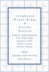 Definitive.：パナマ ロングボード ウィンディ・リッジ ゲイシャ ナチュラル 4