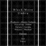 Definitive.：パナマ ブラック・ムーン アンブラ ゲイシャ ウォッシュト