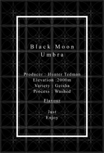 Definitive.：パナマ ブラック・ムーン アンブラ ゲイシャ ウォッシュト