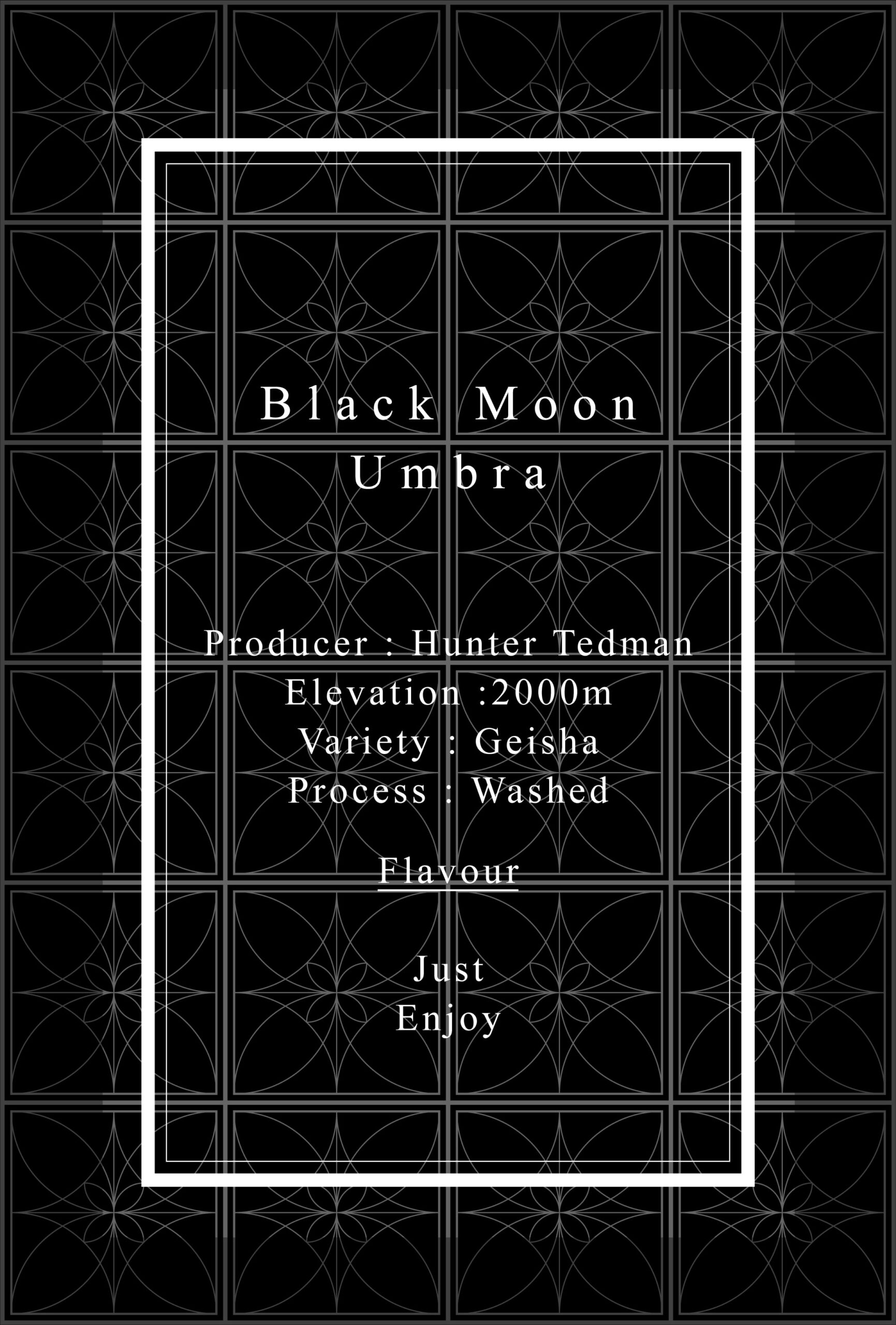 Definitive.:パナマ ブラック・ムーン アンブラ ゲイシャ ウォッシュト