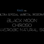 通山珈琲 with Gluck Inc.：パナマ ブラック・ムーン チロソ アネロビック・ナチュラル ロット S02