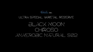 通山珈琲 with Gluck Inc.：パナマ ブラック・ムーン チロソ アネロビック・ナチュラル ロット S02