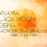 通山珈琲 with Gluck Inc.：パナマ ブラック・ムーン サークル・オブ・ファイア ゲイシャ アネロビック・ナチュラル ロット 18