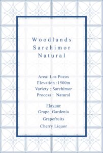 Definitive.：パナマ ウッドランド サルチモール ナチュラル